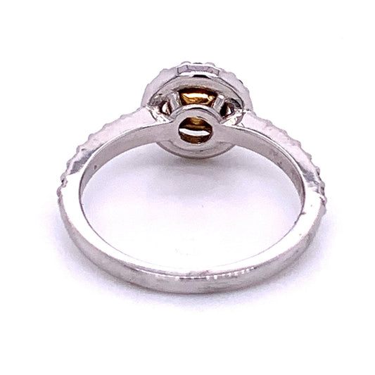 Fancy Halo Diamond Engagement Ring in 14K Two-Tone Gold
